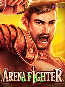 Explorando o Universo de ArenaFighter e o Código Misterioso 676T